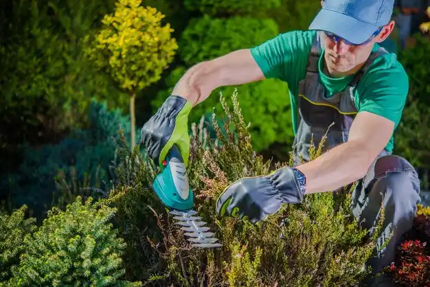 landscaping services Jackson Center